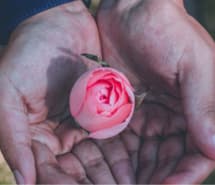 Oorlogstrauma Culturele Zorg